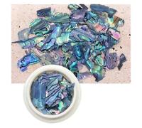 coquille de poisson naturel, Décorations d'ongles en strass en coquille d'ormeau TCST2014A irrégulière 10g(TCST2020 10g)