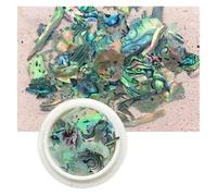 coquille de poisson naturel, Décorations d'ongles en strass en coquille d'ormeau TCST2014A irrégulière 10g(TCST2028 10g)