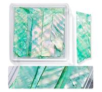 coquille de poisson naturel, Grands flocons de coquillage multicolores for paquet de décorations Nail Art(B-0386)