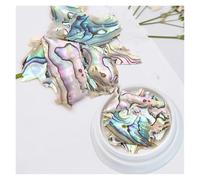 coquille de poisson naturel, Tranche de coquille d'ormeau strass décoration Nail Art bricolage multicolore(01)