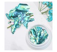 coquille de poisson naturel, Tranche de coquille d'ormeau strass décoration Nail Art bricolage multicolore(04)