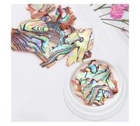 coquille de poisson naturel, Tranche de coquille d'ormeau strass décoration Nail Art bricolage multicolore(06)