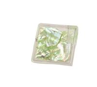 coquille de poisson naturel, Tranches de coquillage d'ormeau strass Nail Art multicolore série PEARL Ocean(3)