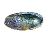 Coquille d'Ormeau Arc-en-Ciel/Abalone Naturelle 12-14cm