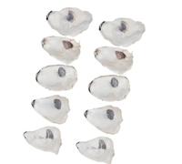 Coquilles d ’ huîtres concaves pour l ’ artisanat, coquillages, 10 14