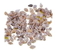 Coquilles de mer Coquilles de mer mixtes, Coquillages for l'artisanat 100 pièces 1-2 cm petits coquillages de mer assortiment de coquillages naturels conques artisanat bricolage ornements coquillages