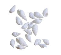 Coquilles de mer Coquilles de mer mixtes, Coquillages for l'artisanat 100 pièces Petit coquillage blanc Ornements de décoration nautique Blanc Petit beau coquillage Conques Coquillages assortis Vie ma