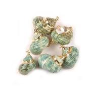 Coquilles de mer Coquilles de mer mixtes, Coquillages for l'artisanat 20-30 mm 5 pièces Coquillage spirale vert doré for bijoux à bricoler soi-même Breloques faites à la main Pendentif Coquillage Déco