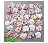 Coquilles de mer Coquilles de mer mixtes, Coquillages for l'artisanat 20 pièces/lot coquille Saint-Jacques épaisse couleur naturelle motif coquille conque aquarium paysage décoration de la maison styl