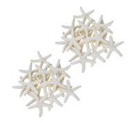 Coquilles de mer Coquilles de mer Mixtes, Coquillages for l'artisanat 30 pièces étoiles de mer Crayon Blanc crème for la décoration de Mariage, la décoration intérieure et Le Projet d'artisanat