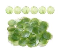 Coquilles Plates Rondes - 100 Pièces de Breloques Artisanales DIY,Connecteur de Perle Style Pièce Coquillage | Pour Amateurs Artistes Femmes Filles Étudiants Art Professionnels Mariage Fête Maison Ate