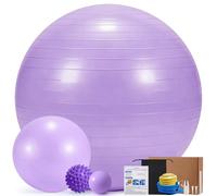 Cor cordium Lot de 4 Ballons d'exercice, Comprenant Un Grand Balle, Un Ballon de Pilates de 23 cm, Un Balle de Massage, Un Ballon à Picots et Une Pompe (Purple, XL(27-30inch/68-75cm))