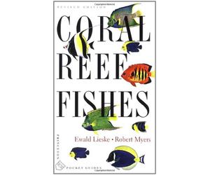 Coral Reef Fishes: Indo-Pacific and Caribbean