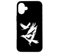 Corbeaux en vol Corbeau Corbeau Blackbird Ornithologie Coque pour iPhone 16 Plus