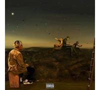Cordae – From a Birds Eye View – Vinyle coloré 12" Édition limitée
