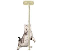 Corde À Griffoir Pour Chat Poste De Grattage Jouet Grattoir Avec Ventouses | Jouet À Escalade De 150cm Pour Chats Pour La Maison, L'Appartement, La Ferme, Le Salon, La Chambre Et Le Balc