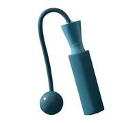 Corde à sauter lestée pour adulte avec câble en acier lourd, corde à sauter professionnelle avec balles lourdes, corde à sauter d'intérieur