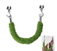 Corde à sauter pour araignées - Accessoire d'escalade - Pont balançoires pour terrariums araignées - Pour terrarium, habitat, enclos pour les amoureux des animaux, enseignants, étudiants, projet