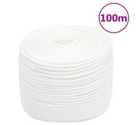 vidaXL Corde de bateau Blanc complet 6 mm 50 m Polypropylène