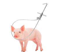 Corde de bétail, 80 cm en acier inoxydable robuste pour contrôle des animaux, attrape-bétail, outil de capture de caisse claire pour chiens, porcs, animaux d'élevage