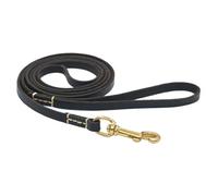 Corde de jeu pour chiens - Poignée ergonomique légère - Corde de marche pour chien - Pour les races de petite, moyenne et grande taille, entraînement à la marche, parc, loisirs et jardin