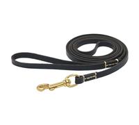 Corde de jeu pour chiens | Réglable et compacte | Corde de promenade pour chiens de petite, moyenne et grande taille pour la promenade, l'entraînement, le parc, l'extérieur, le jardin