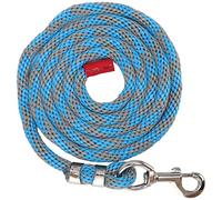 Corde de laisse de cheval corde tressée polyvalente pour cheval, bétail, animal de compagnie avec grand crochet en alliage audacieux, laisse d'entraînement en nylon durable de 13 (Gris bleuté)
