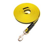 Corde de remorquage for chien, longue laisse for chien, corde de remorquage, sangle d'entraînement à la marche, laisses solides et durables, accessoires de traction antidérapants for animaux de compag
