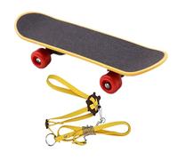 Corde De Skateboard Pour Tortue Domestique Accessoires Amusants Réglables