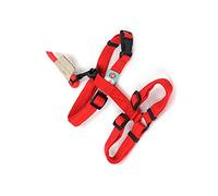 Corde de Traction à Harnais Souple réglable pour Animaux domestiques, Lapins, Chats, cochons d'Inde, écureuils, Jouets en Cours d'exécution Créative et utileUtile