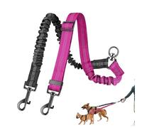 Corde de traction pour animal de compagnie - Double chiot réfléchissant pour promener en toute sécurité, design durable sans nœuds avec prise en main confortable, idéal pour les races de chiens de