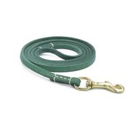 Corde de traction pour chien, lapin, chat, 150/200 cm, avec boucle en alliage pour fournitures de marche