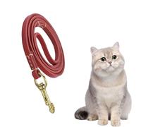 Corde de traction pour grands chiens, corde pour grands chiens - Robuste - Comportement de formation du chien - Ceinture de sécurité pour animaux - Design ergonomique pour l'entraînement de randonnée
