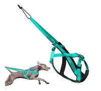Corde de traction réglable pour chiens de traîneau - Matériau résistant à la déchirure, construction amortissante des chocs, liberté de mouvement fiable, point de traction ergonomique pour chiens