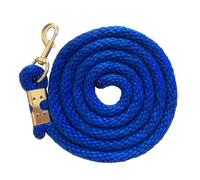 Corde d'entraînement pour chevaux - Corde de travail pour chevaux | Corde de 2 m avec bouton-pression, cordon solide pour une manipulation efficace, longue laisse de marche pour sports équestres