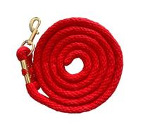 Corde d'entraînement pour chevaux - Corde de travail pour chevaux | Corde de 2 m avec bouton-pression, cordon solide pour une manipulation efficace, longue laisse de marche pour sports équestres