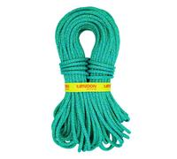 Corde dynamique simple Tendon Anniversal 9,5 Standard 30m vert/bleu