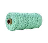 Corde en coton for macramé 3 mm 100 m for loisirs créatifs | Ficelle douce multicolore for suspension murale, cintre for plantes, attrape-rêves(20 Light Green)