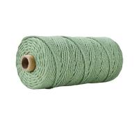 Corde en coton for macramé 3 mm 100 m for loisirs créatifs | Ficelle douce multicolore for suspension murale, cintre for plantes, attrape-rêves(26 Fruit Green)