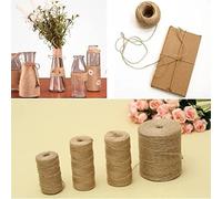 Corde en Jute, Corde de Jute Naturelle, Ficelle, Ruban de Jute, Bricolage, 2 mm x (30-300) m, Plusieurs Tailles(2mm 30 M)