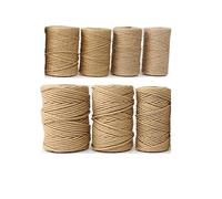 Corde en sisal pour chat - Plusieurs épaisseurs - En chanvre naturel - Pour remplacer les griffoirs, le jardinage, la décoration de bricolage, la reliure - 1 mm x 100 m