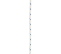 Corde escalade Edelrid Prostatic SyncTec 10,5mm Blanc 100 m