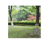 Corde lâche pour slackline 15 m x 50 mm 150 kg Jaune