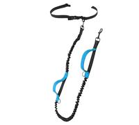 Corde pour chien - Corde de sport fonctionnelle pour chien, corde anti-émeute | Mains réglables pour chien, corde d'extérieur facile pour promener le chien (2,5 x 150 cm) (noir, rouge, bleu, orange,