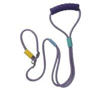 Corde Pour Chien Longe de Promenade pour Animal de Compagnie | Accessoires pour Chien Robustes Confortables Plage Promenades Extérieur Parc Sécurité Entraînement Traction