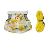 Corde renforcée sûre pour animaux de compagnie avec jupe à carreaux pour petits animaux lors de la marche, design agréable renforcé