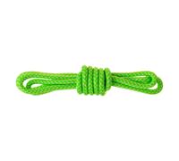 Salewa Corde Ortles Master 6 mm vert