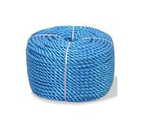 vidaXL Corde torsadée Polypropylène 12 mm x 100 m Bleu