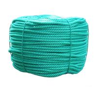 Corde verte de 6 mm en polyéthylène haute densité de 20 m - Ficelle de reliure robuste pour attacher le jardin en plein air, ligne utilitaire résistante aux UV pour filet d'aquaculture marine