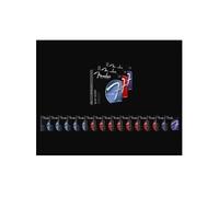 Cordes FENDER 3150L 9 42 PURE NICKEL BULLETS Cordes guitares électriques